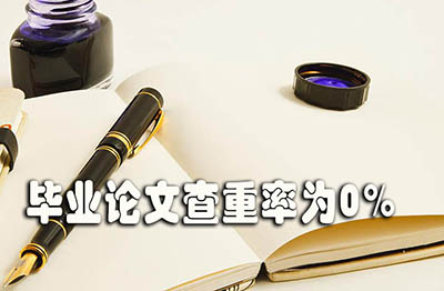 vn1 (4).jpg