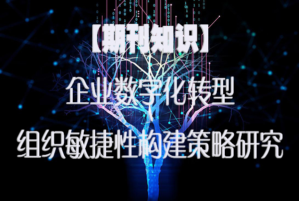 【期刊知识】企业数字化转型中的组织敏捷性构建策略研究.jpg