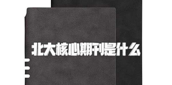 北大核心期刊是什么.jpg