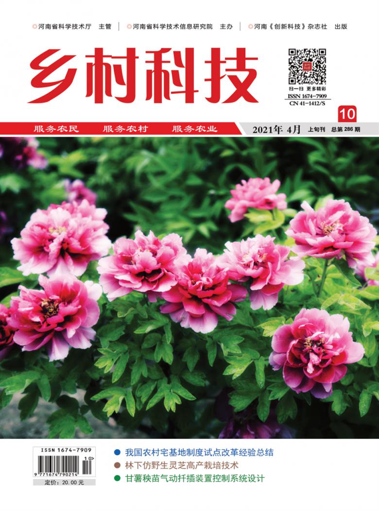 乡村科技杂志