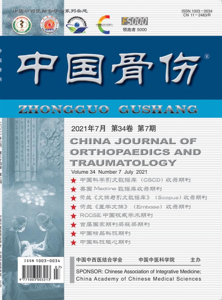 中国骨伤杂志