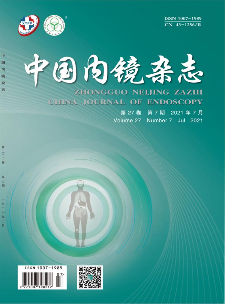 中国内镜杂志