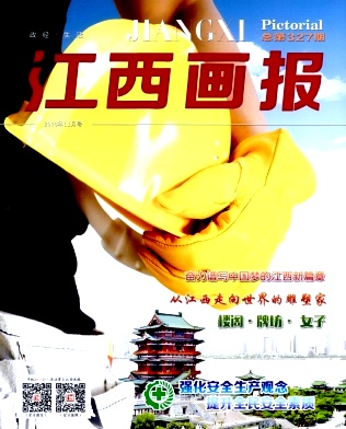 江西画报杂志