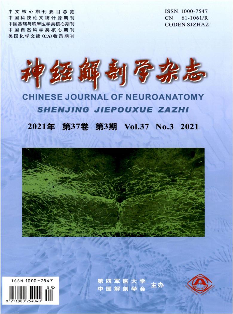 神经解剖学杂志